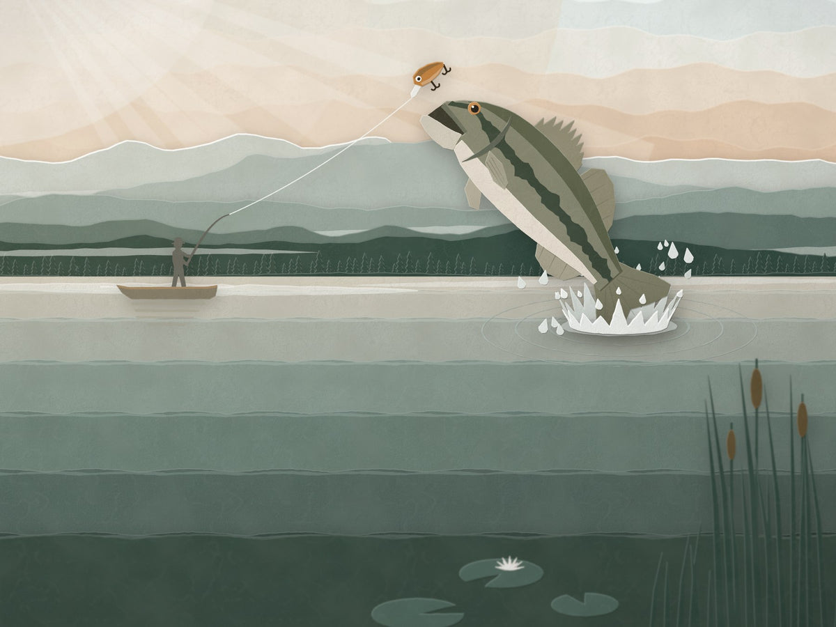 Angler