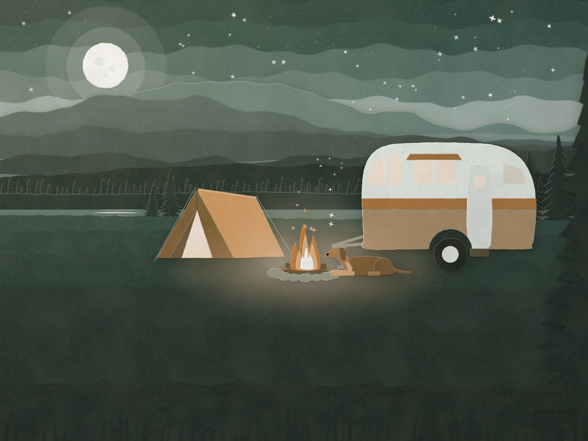 Camp
