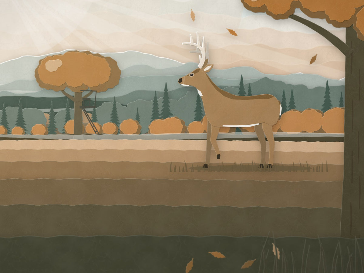 Hunter